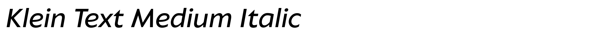 Klein Text Medium Italic image